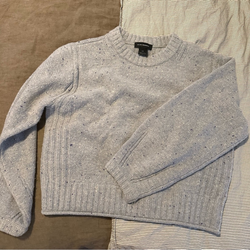 Club Monaco speckled wool sweater